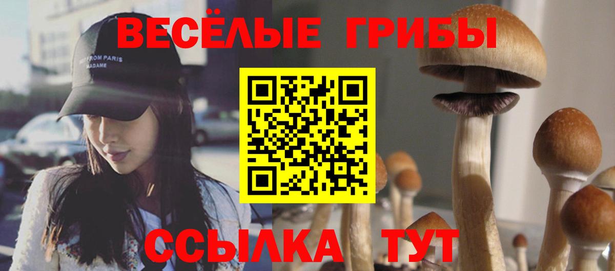 Холмск  Псилоцибиновые грибы Psilocybine cubensis  Вход с VPN 